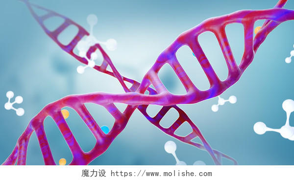 生物科技商务风红色C4D格式DNA基因组所双螺旋医学插画海报背景素材